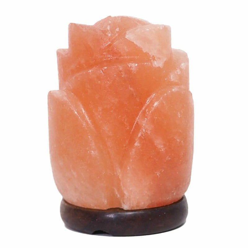 Rose Salt Lamp – Timber Base (12V – 12W)